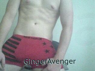 GingerAvenger