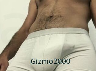 Gizmo2000