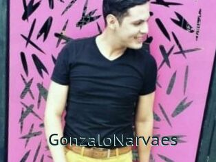 GonzaloNarvaes