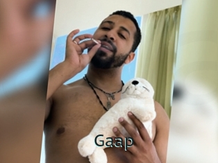 gaap Anal X