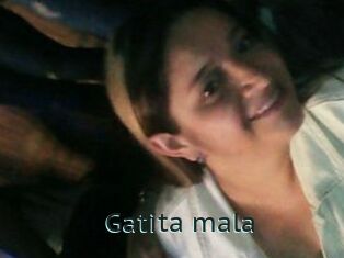 Gatita_mala