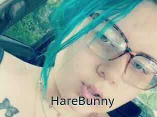 HareBunny