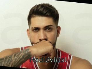 Hadidvidal