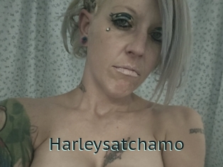 Harleysatchamo