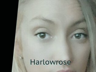 Harlowrose