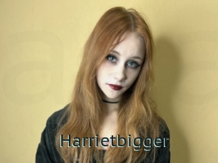 Harrietbigger