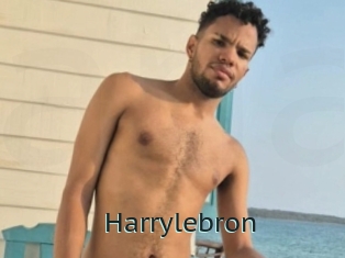 Harrylebron