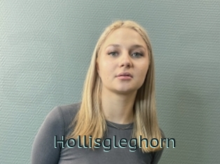 Hollisgleghorn