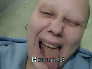 Hornak18