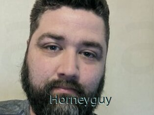 Horneyguy