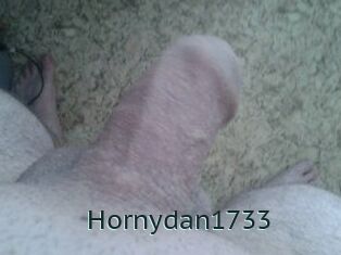 Hornydan1733