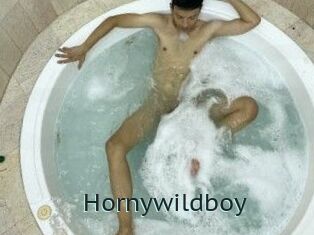 Hornywildboy