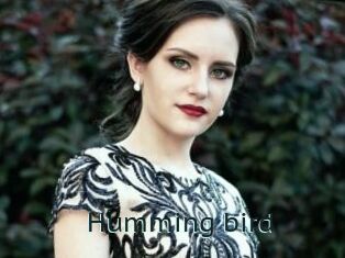 humming_bird Anal X