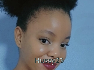 Hussy23