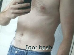 Igor_bash