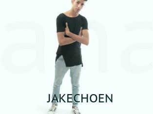 JAKECHOEN Anal X