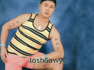 JoshSawyer Anal X