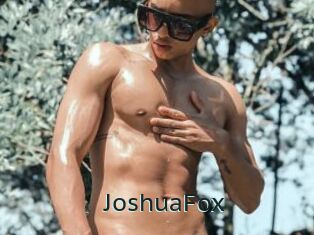 JoshuaFox