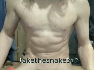 Jakethesnake312