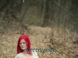 Kerosynee