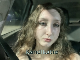 Kandikatie