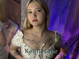 Karinacane