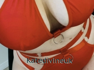 Katedivineuk