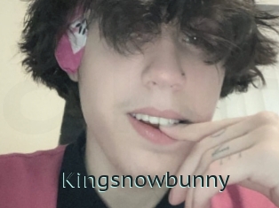 Kingsnowbunny