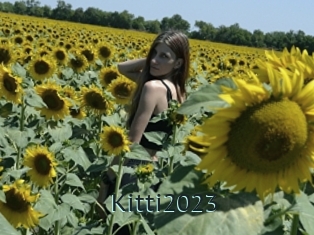 Kitti2023