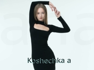 Koshechka_a