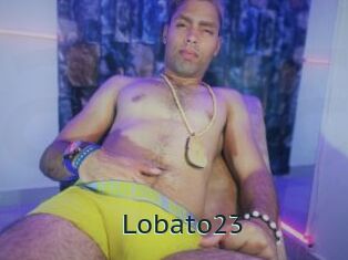 Lobato23
