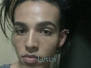 Lotus