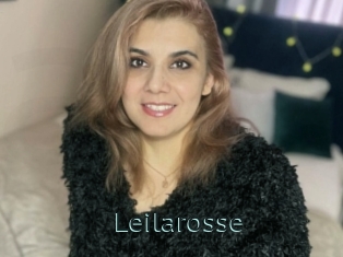 Leilarosse