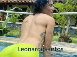 Leonardosantos