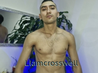 liamcrosswell Anal X