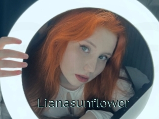 Lianasunflower