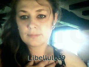 Libellule39