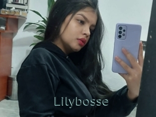 Lilybosse