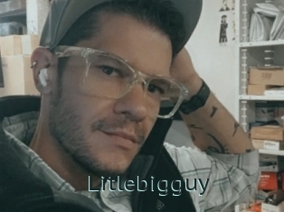 Litlebigguy