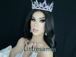 Littlesamm