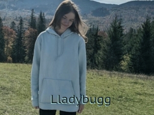Lladybugg