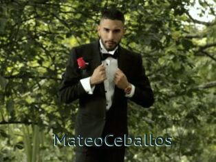 MateoCeballos