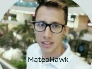 MateoHawk