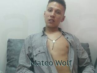 Mateo_Wolf