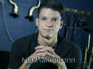 MaxHamintonn