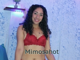 Mimosahot