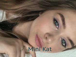 Mini_Kat