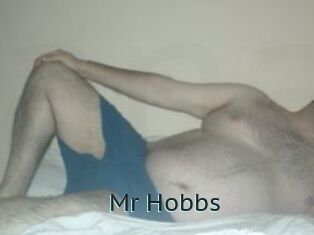 Mr_Hobbs