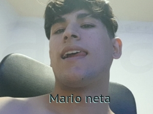 Mario_neta