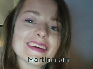 Martinecam